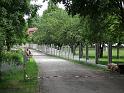 Hochwasser (302)